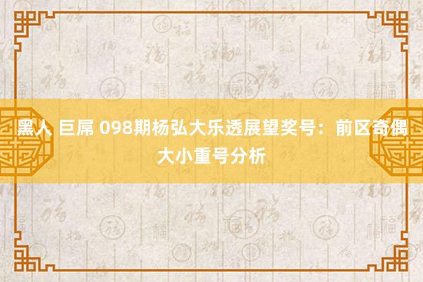 黑人 巨屌 098期杨弘大乐透展望奖号：前区奇偶大小重号分析