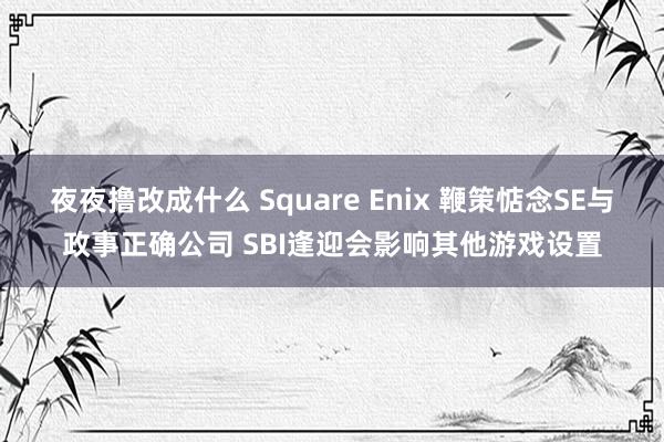 夜夜撸改成什么 Square Enix 鞭策惦念SE与政事正确公司 SBI逢迎会影响其他游戏设置