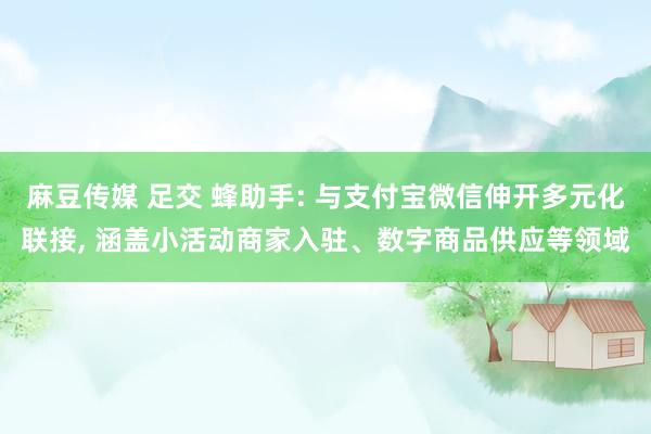麻豆传媒 足交 蜂助手: 与支付宝微信伸开多元化联接， 涵盖小活动商家入驻、数字商品供应等领域