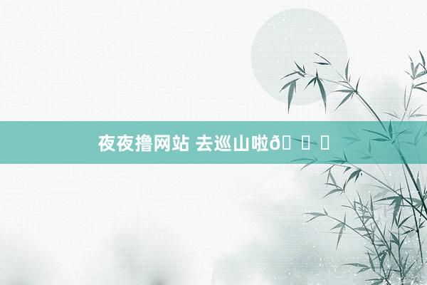 夜夜撸网站 去巡山啦🐒