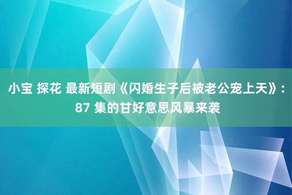 小宝 探花 最新短剧《闪婚生子后被老公宠上天》: 87 集的甘好意思风暴来袭